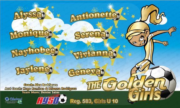 Goldin Girls Soccer team banner