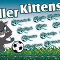 140918-killer-kittens