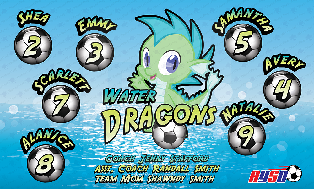 Water Dragons Soccer team banner