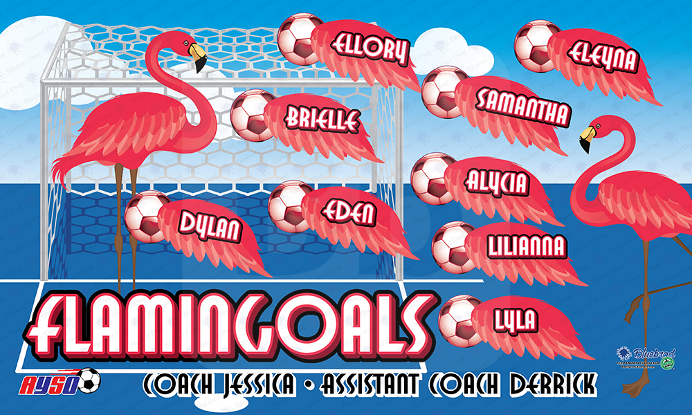 Flamingoals soccer team banner 