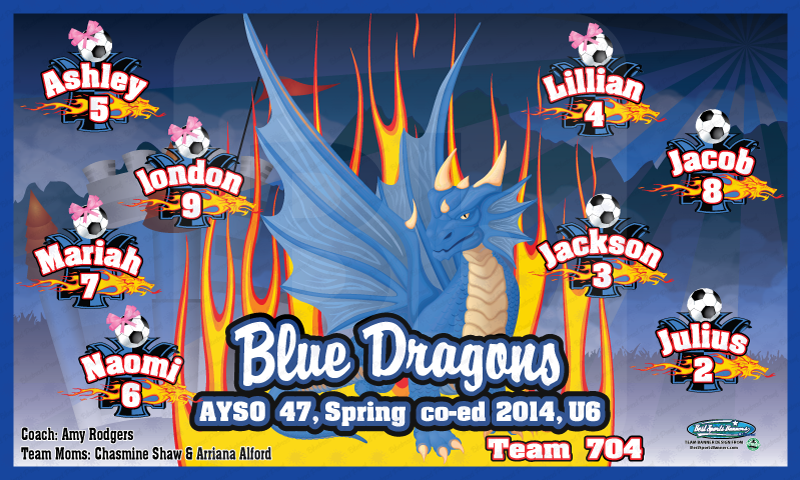Blue Dragons Soccer Team Banner