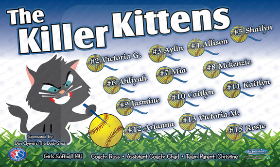 TB-SB-1409182233 Killer Kittens 3x5 Banner-700x420