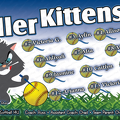 TB-SB-1409182233 Killer Kittens 3x5 Banner-700x420