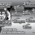 Grey Wolves soccer team banner