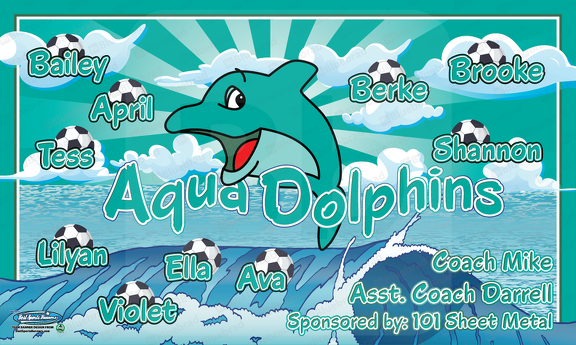 Aqua Dolphins Soccer team banner