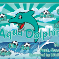 Aqua Dolphins Soccer team banner