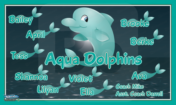 Aqua Dolphins team Banner