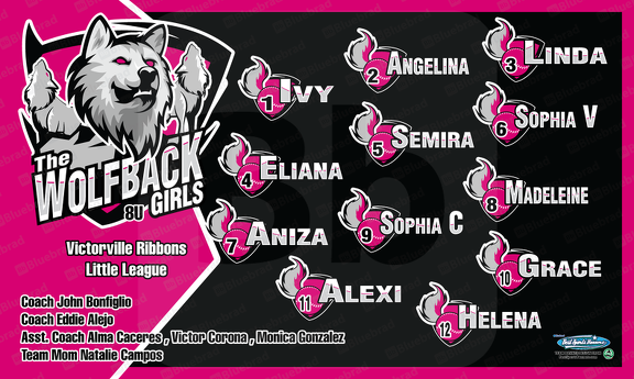 The-Wolfpack-Girls Softball team banner