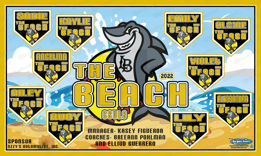 The Beach Team Banner