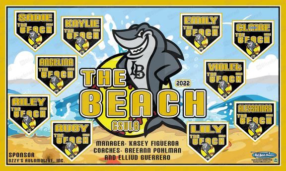 The Beach Team Banner