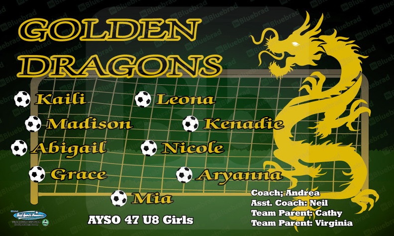 Golden Dragons Soccer Team Banner