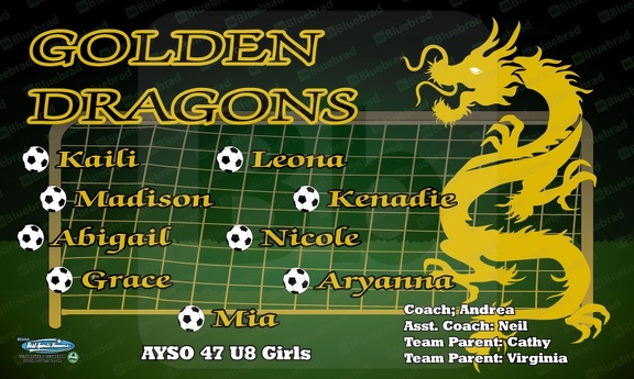 Golden Dragons Soccer Team Banner