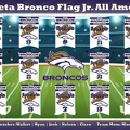 Bronco Football Team Banner
