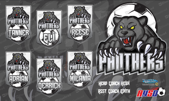 Panthers soccer team banner 