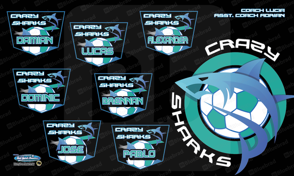 Crasy Sharks Soccer team banner