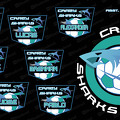 Crasy Sharks Soccer team banner