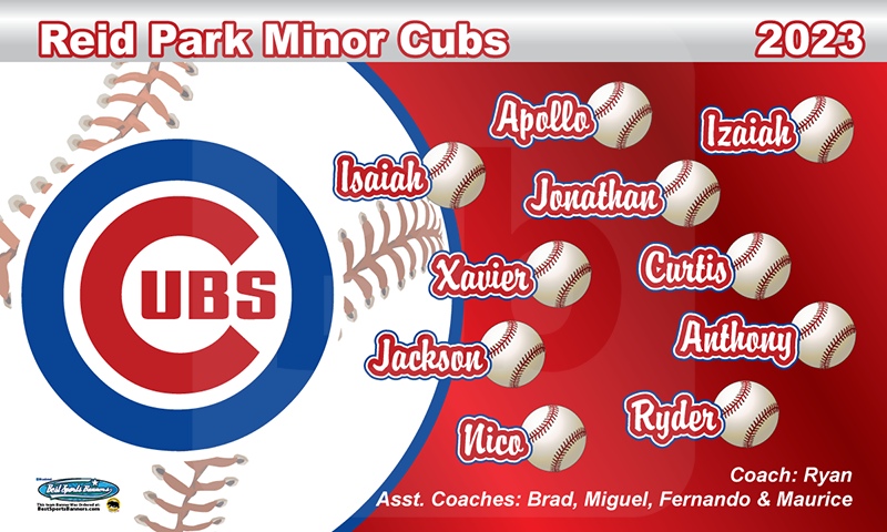 Cubs Baseball Team Banner