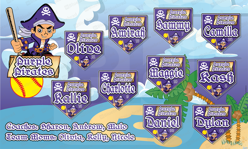 Purple Pirates Softball Team Banner