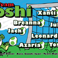 Team-Yoshi Soccer Team Banner