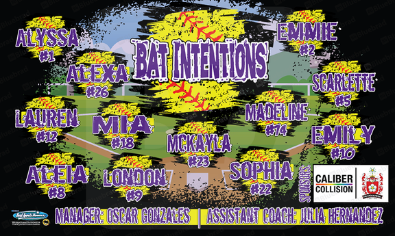 Bat Intentions Softball Team Banner