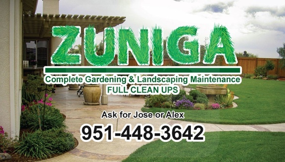 Zuniga Landscaping business cards Final option. 