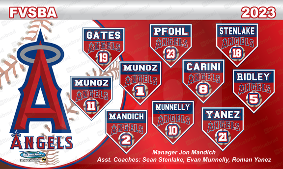PADRES 2 Little League Baseball Team Banner - Customize With Your Players  and Coach Names - Add Mini Banners! Softball Sports Boys Girls
