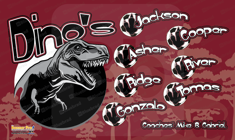 Dino's Soccer Team Banner