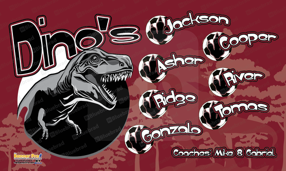 Dino's Soccer Team Banner