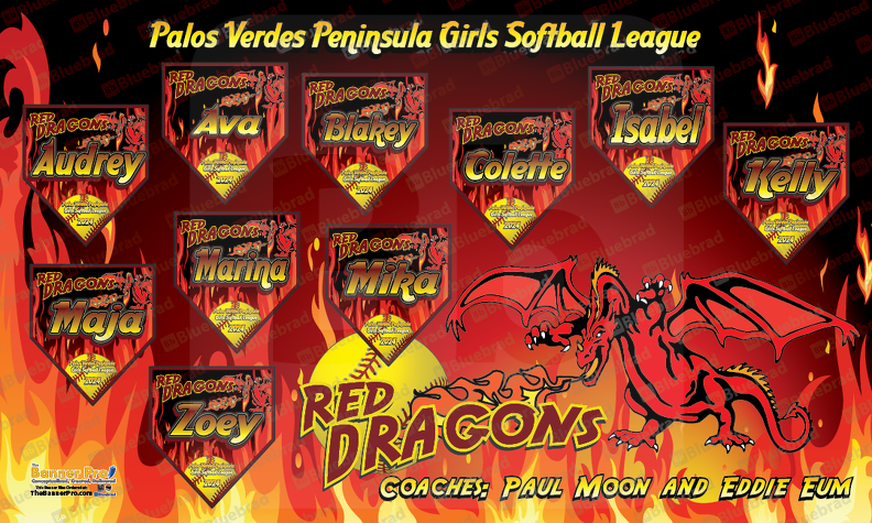 Red Dragons Softball Team Banner