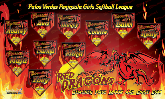 Red Dragons Softball Team Banner
