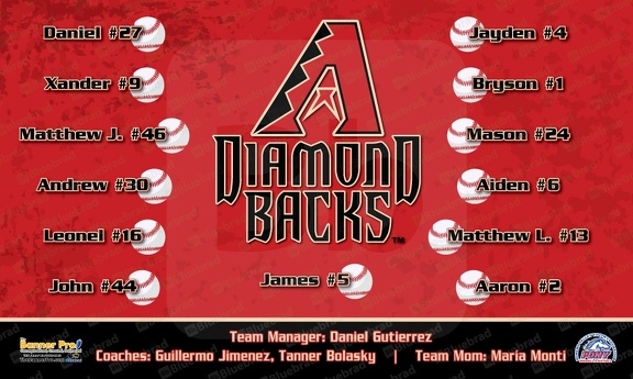 Diamond backs Baseball Team Banner