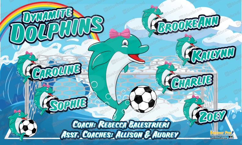 Dynamite Dolphins Soccer Team Banner