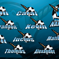 TB-SC-2309071015.1-Blue-Narwhals---Jessica-Sweeny.png