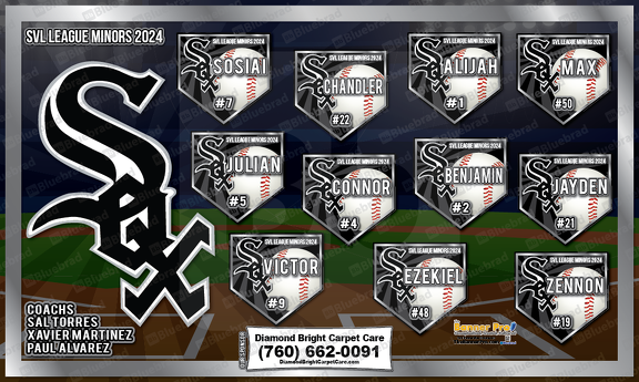 White Sox Cut-outs baseball team banner