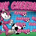 Pink Cheetahs Soccer team banner