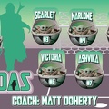 Baby Yodas soccer team banner