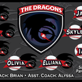 The Dragons - Brian Vanden Bos