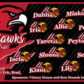 260228502.4-RedHawks