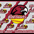 RedHawks Softball