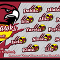 260228502.3-RedHawks