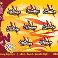Sun Devils softball team banner